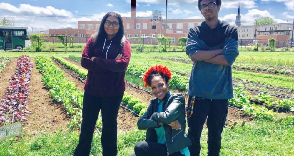 Woodlawn High School Urban Farm “school-grown” vegetables on sale every Tuesday in May
